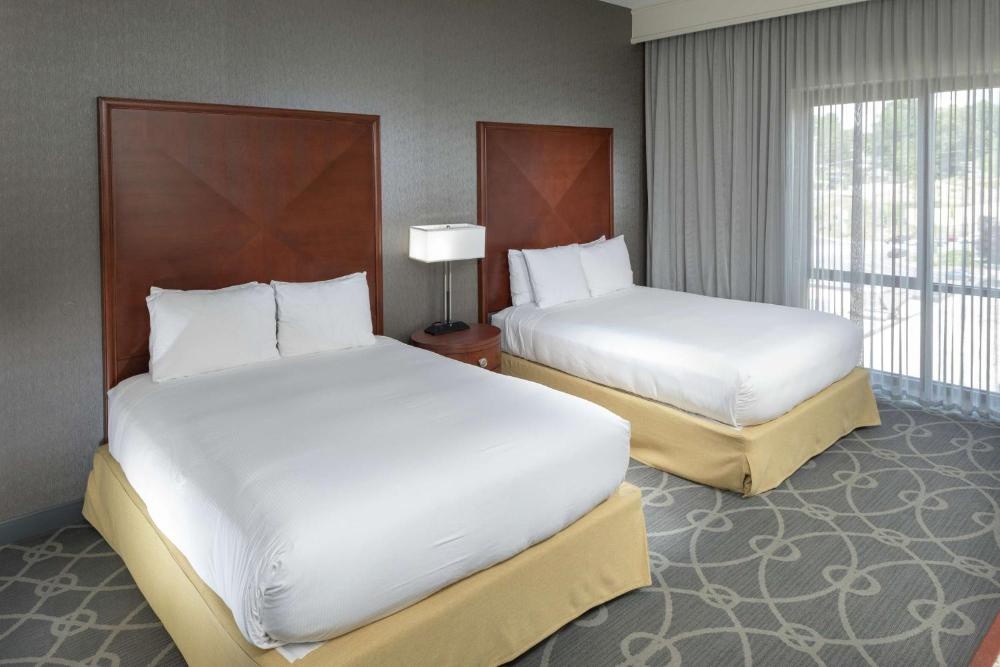 DoubleTree by Hilton Biltmore/Asheville Image 26