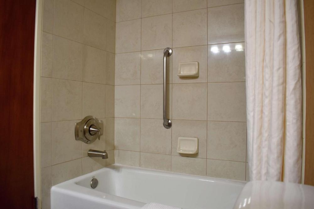 DoubleTree by Hilton Biltmore/Asheville Image 32