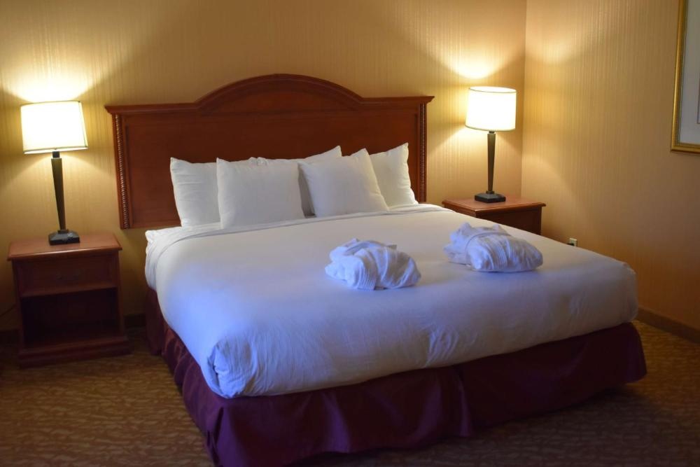 DoubleTree by Hilton Biltmore/Asheville Image 45