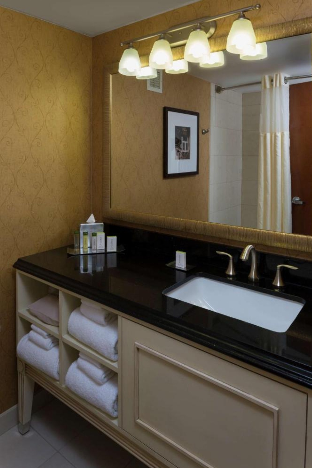 DoubleTree by Hilton Biltmore/Asheville Image 50