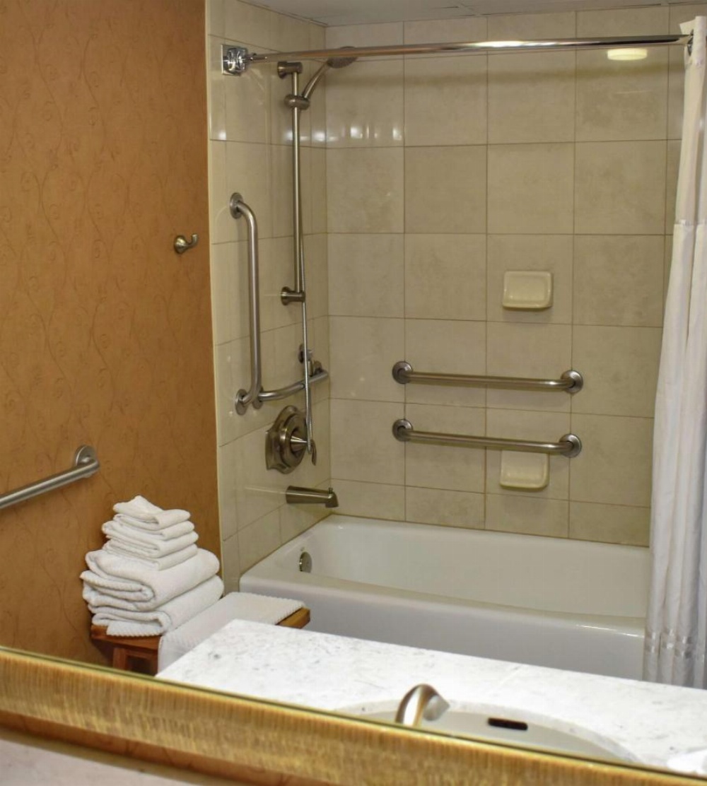 DoubleTree by Hilton Biltmore/Asheville Image 58