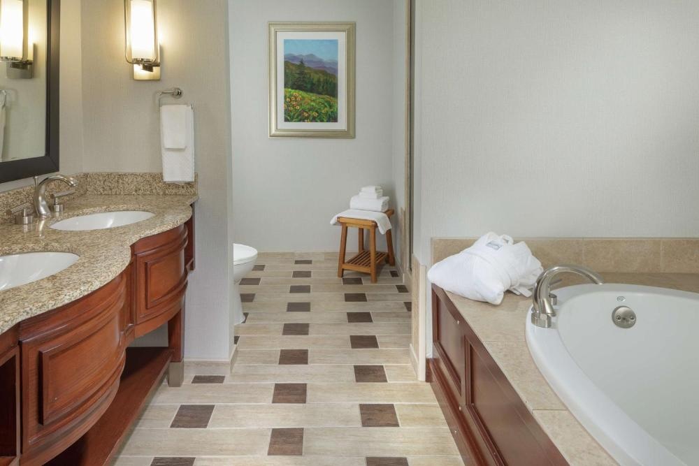 DoubleTree by Hilton Biltmore/Asheville Image 63