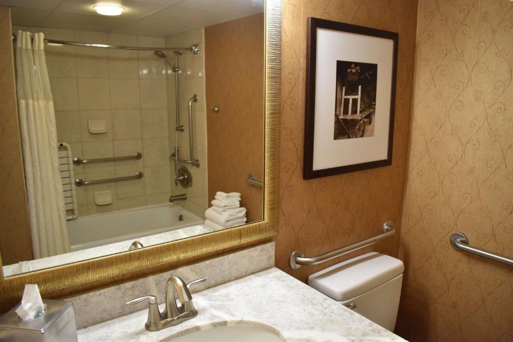 DoubleTree by Hilton Biltmore/Asheville Image 68