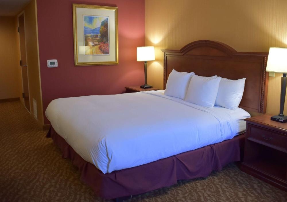 DoubleTree by Hilton Biltmore/Asheville Image 69