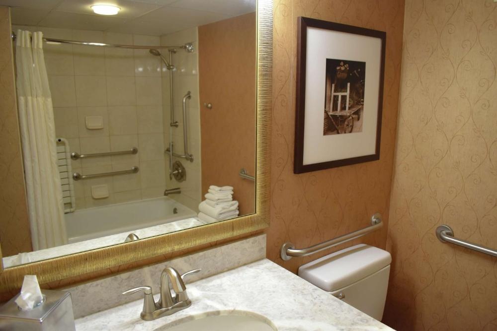 DoubleTree by Hilton Biltmore/Asheville Image 72